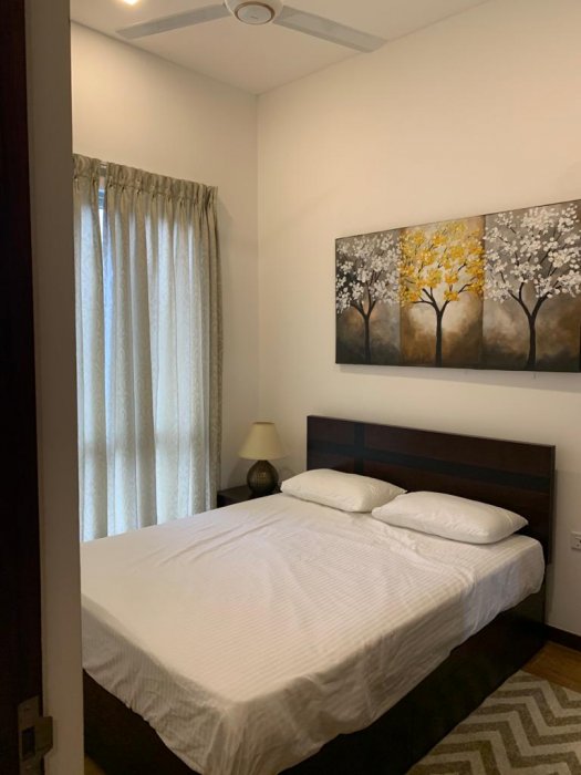 Capitol Elite | Colombo 7