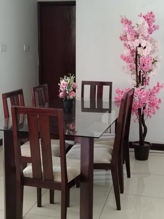 On 320 luxury apartment