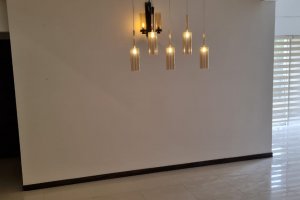 Highnes Rajagiriya.  54 million 