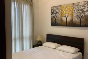 Capitol Elite | Colombo 7