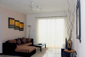 Luxury on 320 apartment 